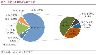 定增市场投资者结构分析 机构主导与策略分化下的格局演变